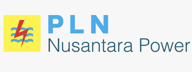 PLN NP